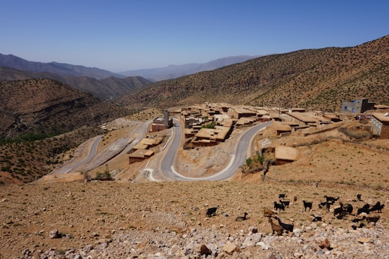 A rural village is nestled in a mountainous terrain with winding roads connecting small, flat-roofed buildings. Sparse vegetation covers the hillsides, and a herd of goats is grazing in the foreground.