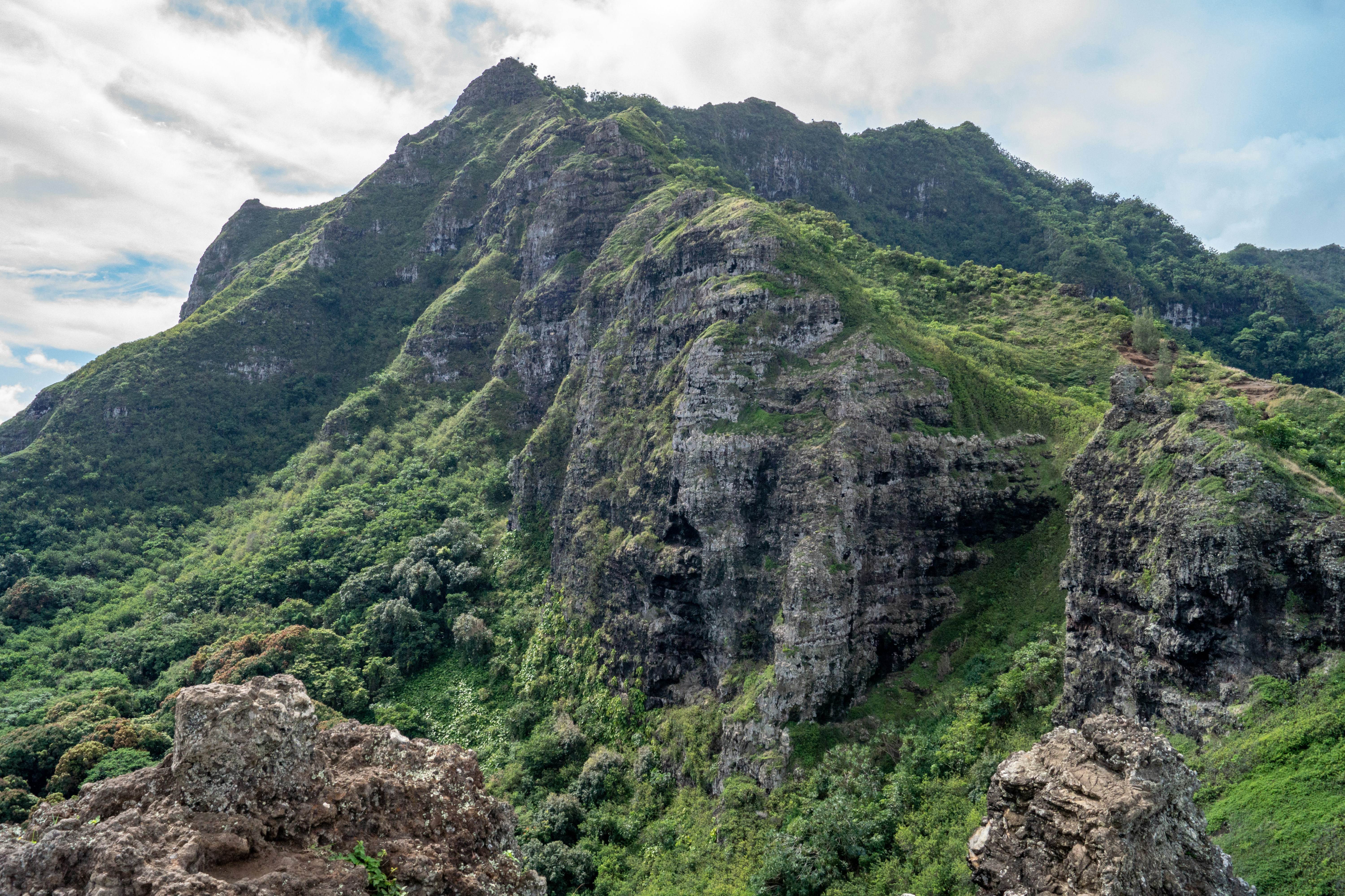 Photo by kadm_creations