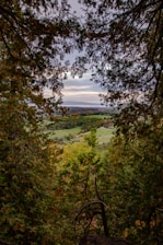 A scenic view of a forested area in Concreveux, showcasing the beauty of nature.