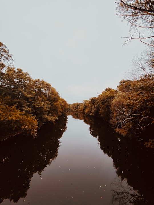 brown trees beside river under white sky during daytime in Newton United States