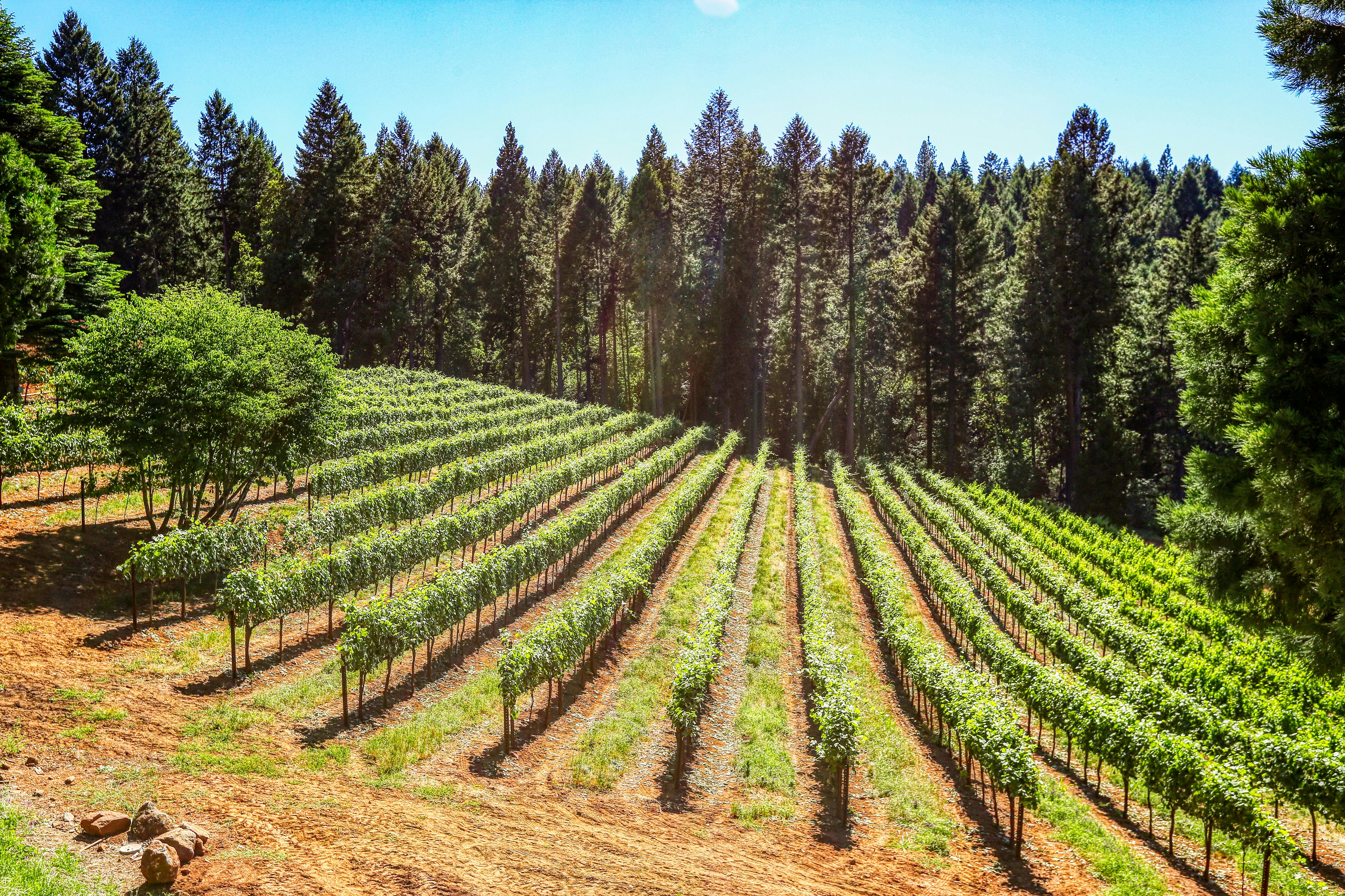 Planning a Bikepacking tour on the Camino del Norte
