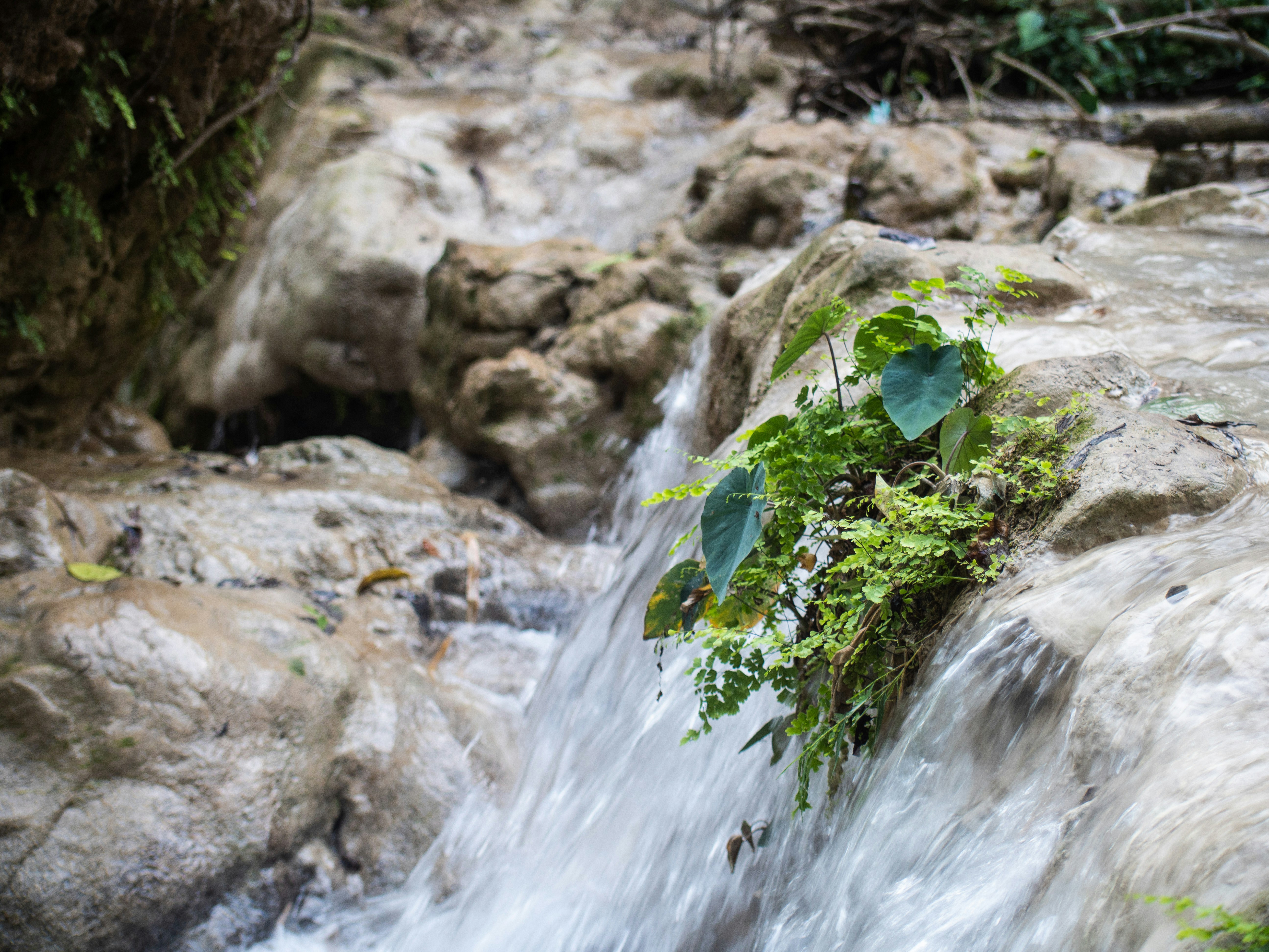 Photo by ondrej_matous