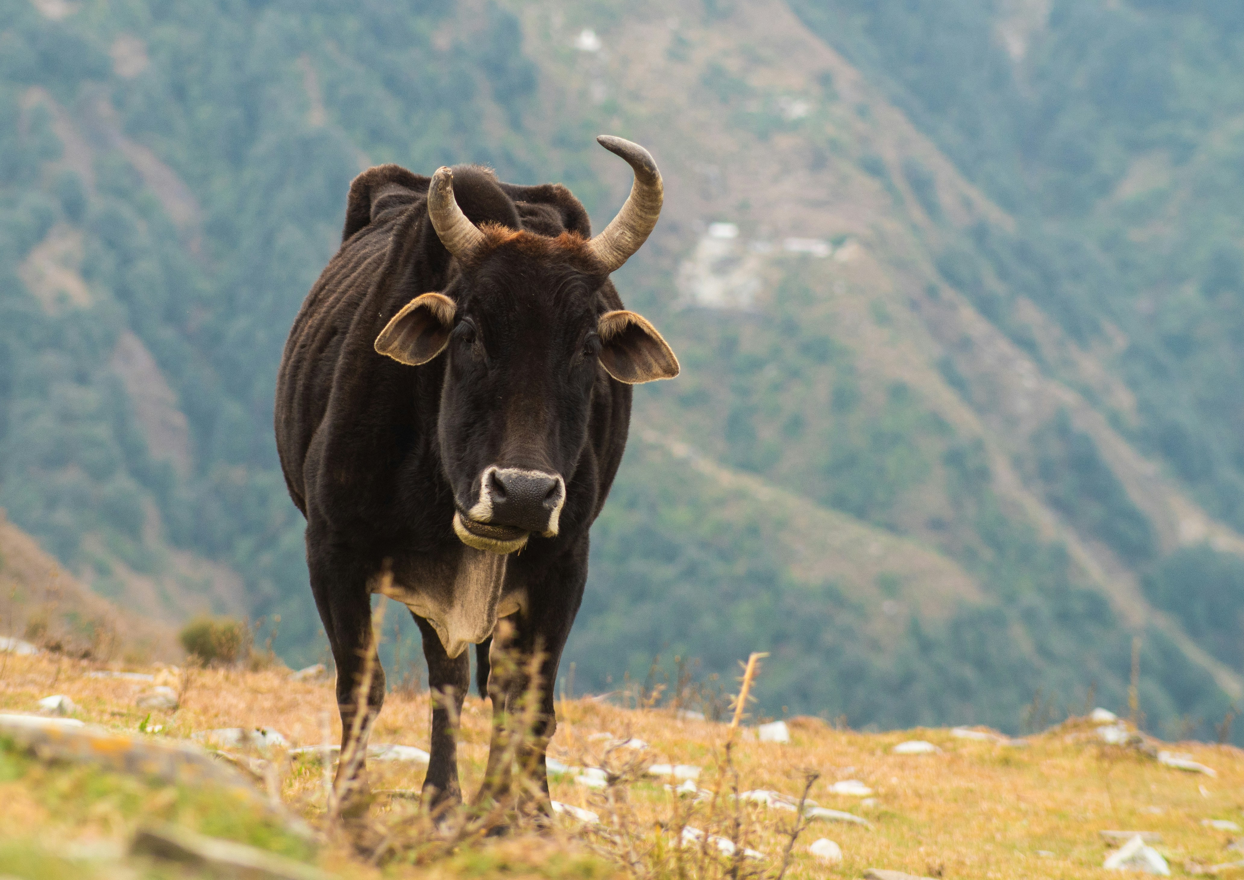 Photo by ondrej_matous