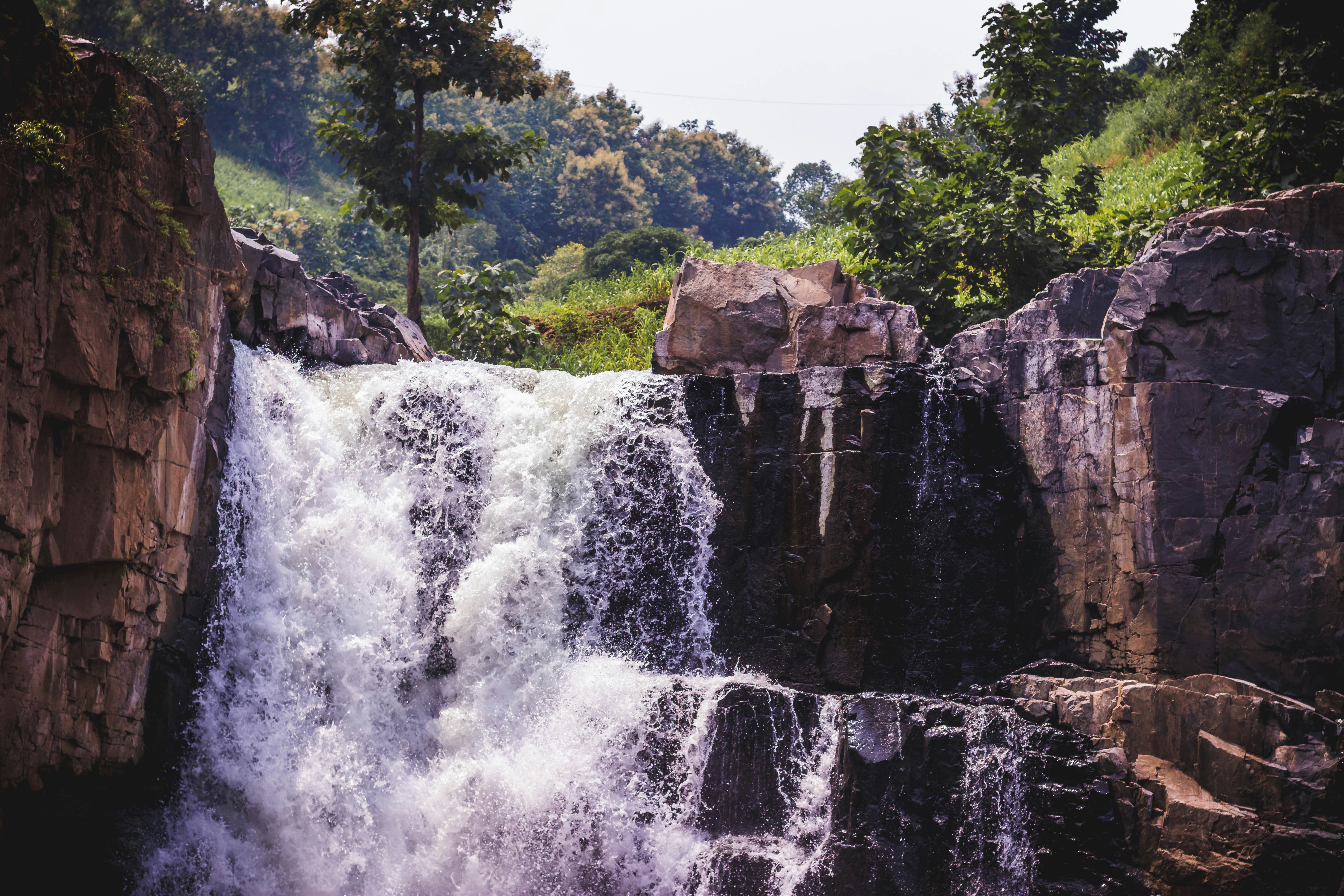 Photo by arvind_menon