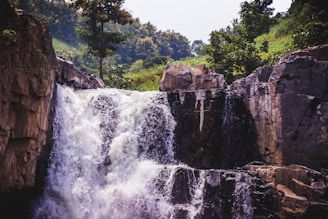 waterfalls near green trees during daytime