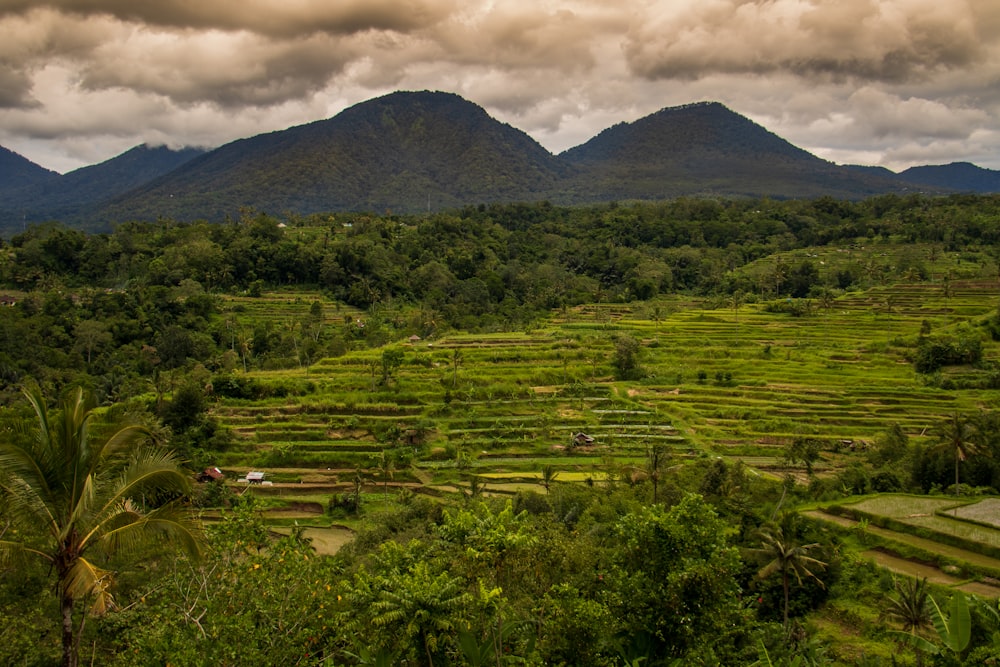 green grass field near mountain under white clouds during daytime