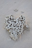 A piece of coral with a porous, intricate structure rests on a sandy beach. The coral's shape somewhat resembles a natural sculpture with various holes and textures, contrasting against the smooth sand surface.