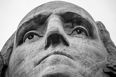 gray scale photo of mans face head google meet background