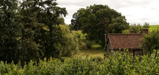 A rustic wooden house with a red-tiled roof is nestled among dense greenery and trees. A grassy path runs alongside, leading into a lush, forested area under a cloudy sky.