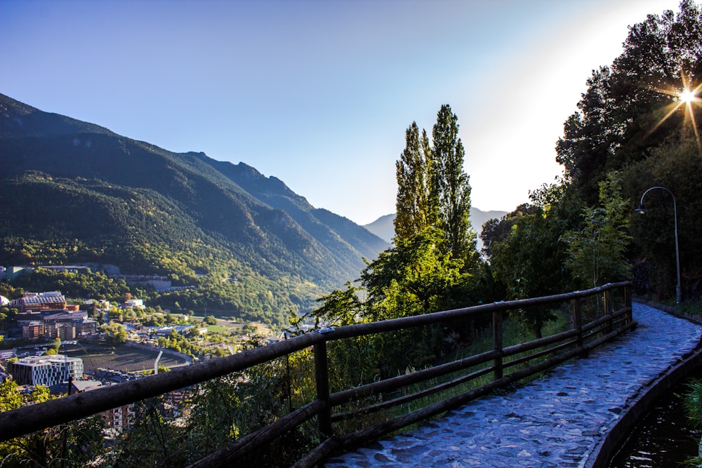 alberi verdi sulla montagna vicino allo specchio d'acqua durante il giorno