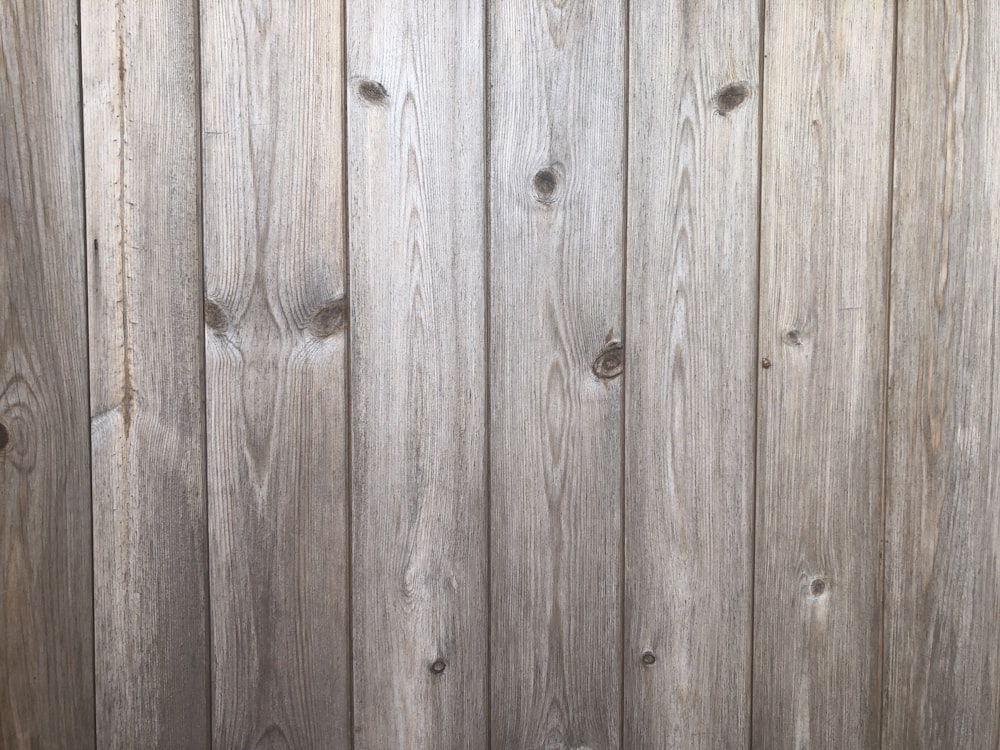 brown wooden fence during daytime