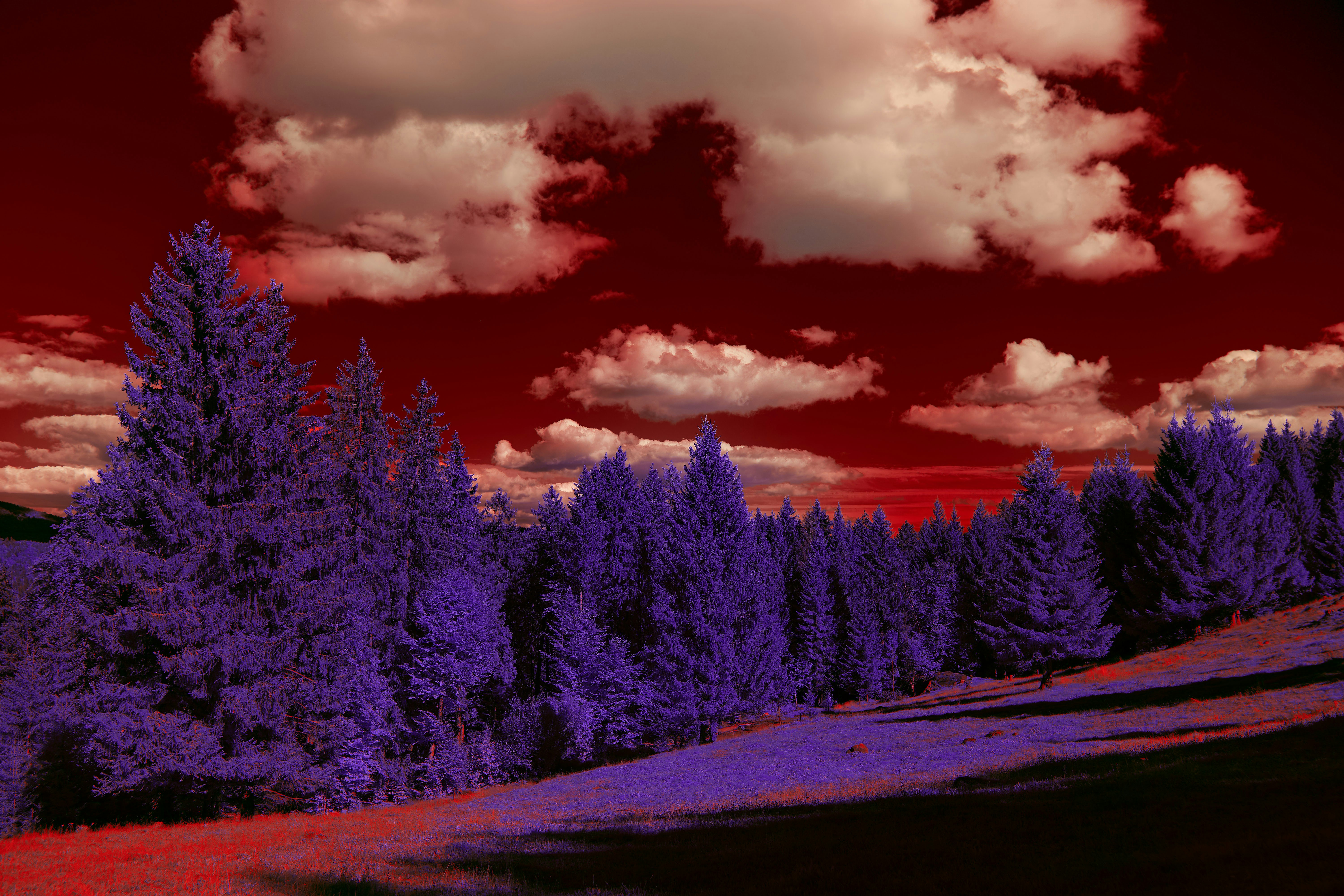 Photo by wolfgang_hasselmann