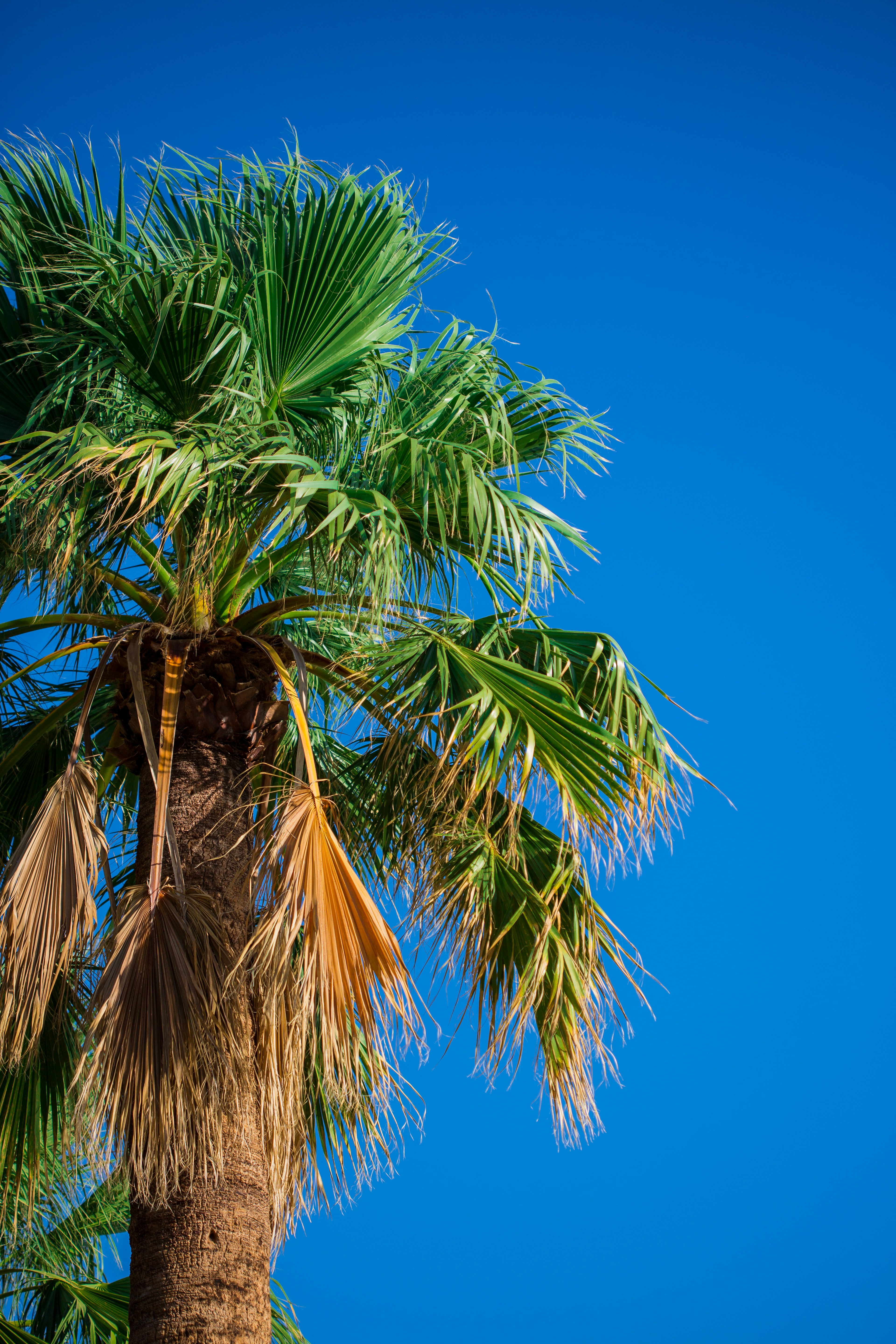 Photo by mannymisfit