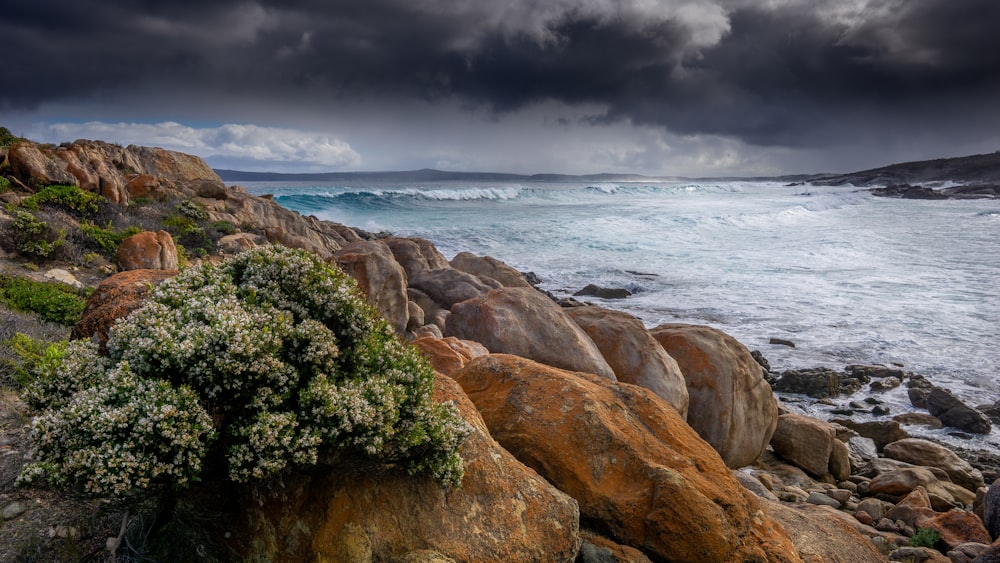 green trees on brown rocky mountain beside sea under gray clouds