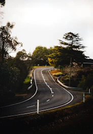 gray asphalt road between green trees during daytime