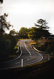 gray asphalt road between green trees during daytime
