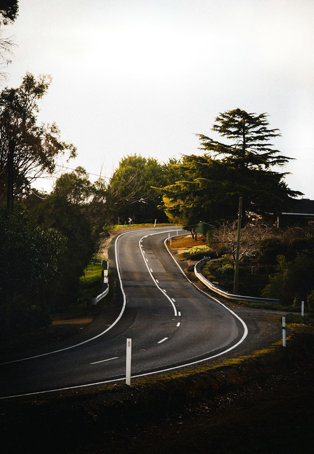 gray asphalt road between green trees during daytime