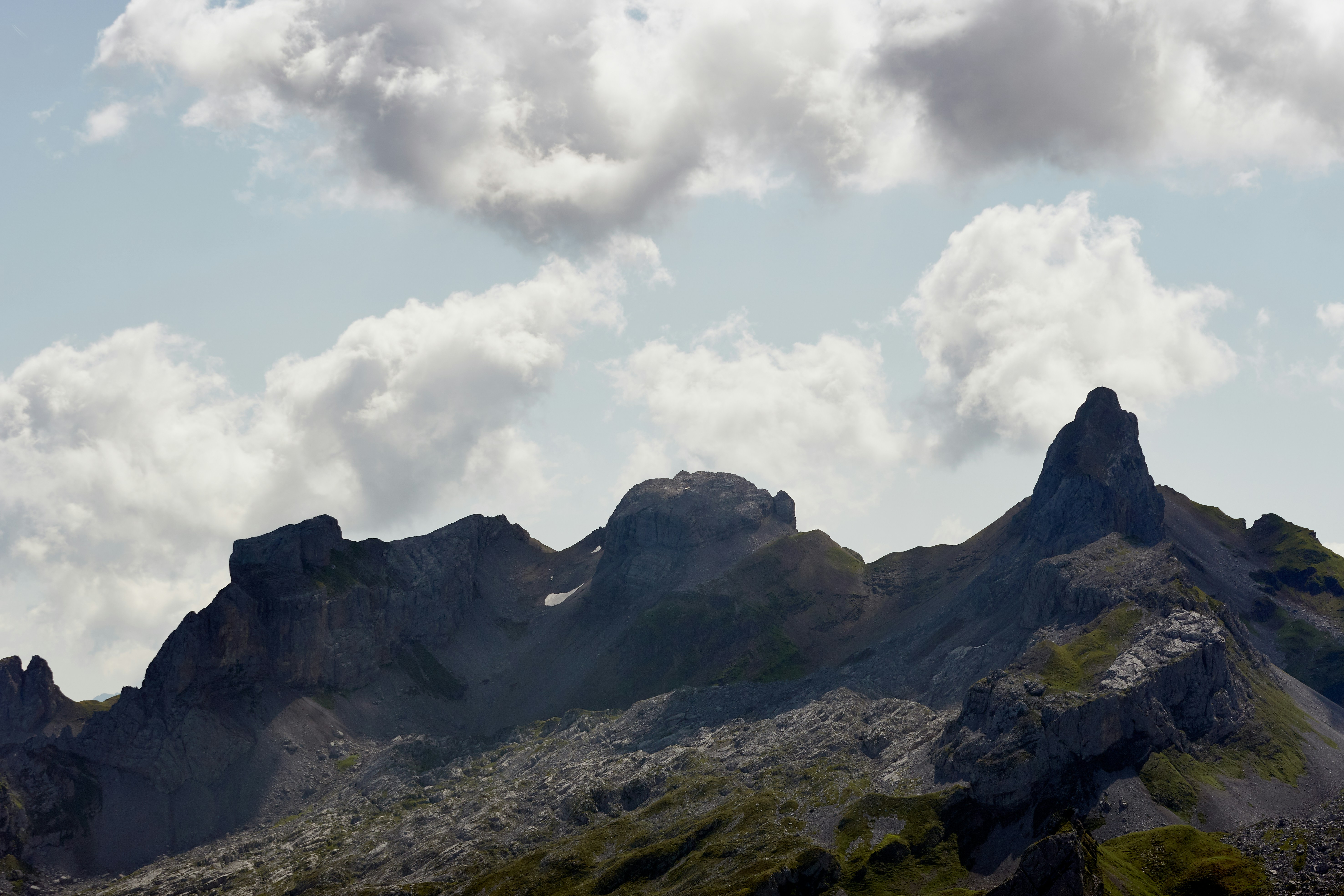 Photo by wolfgang_hasselmann