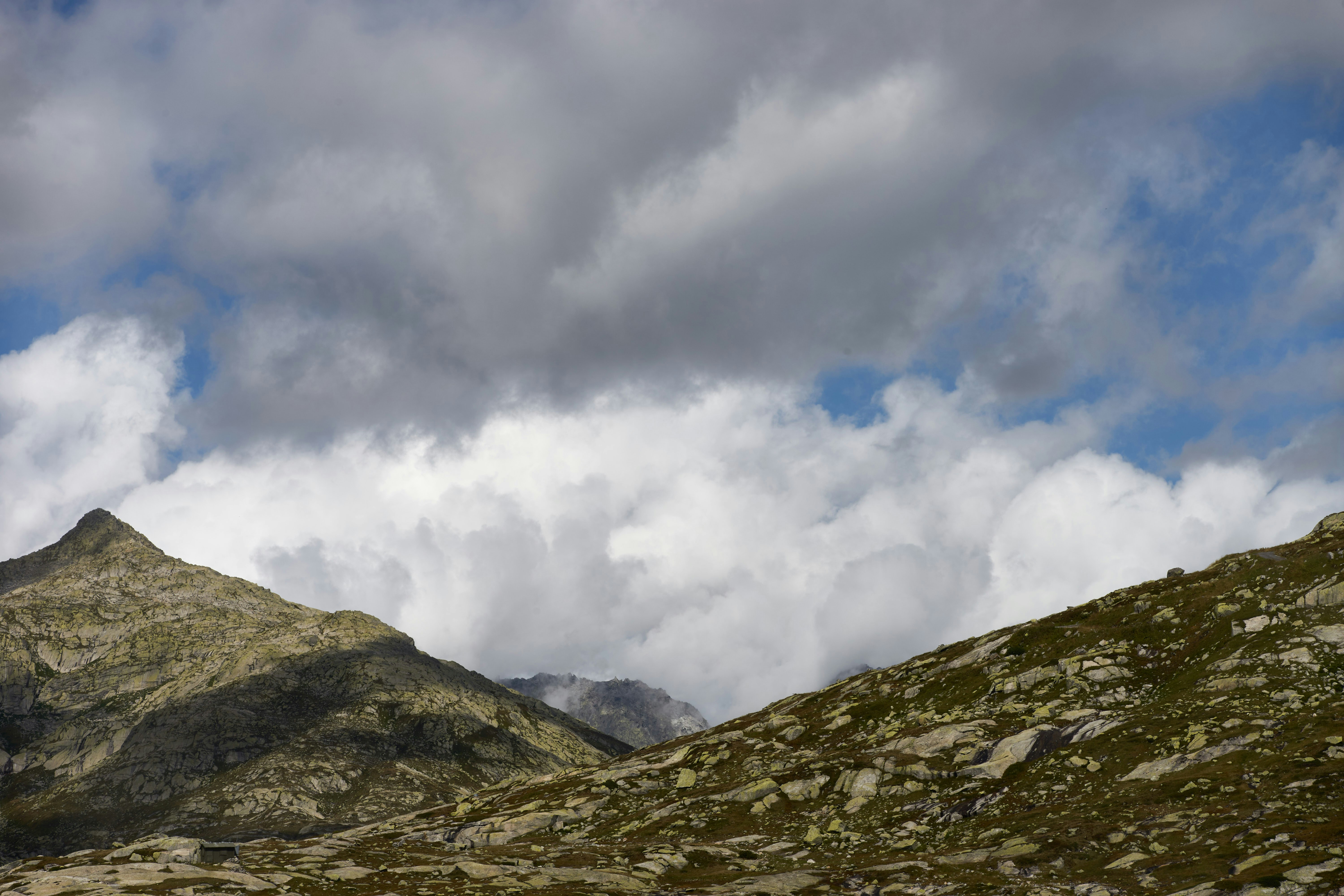 Photo by wolfgang_hasselmann