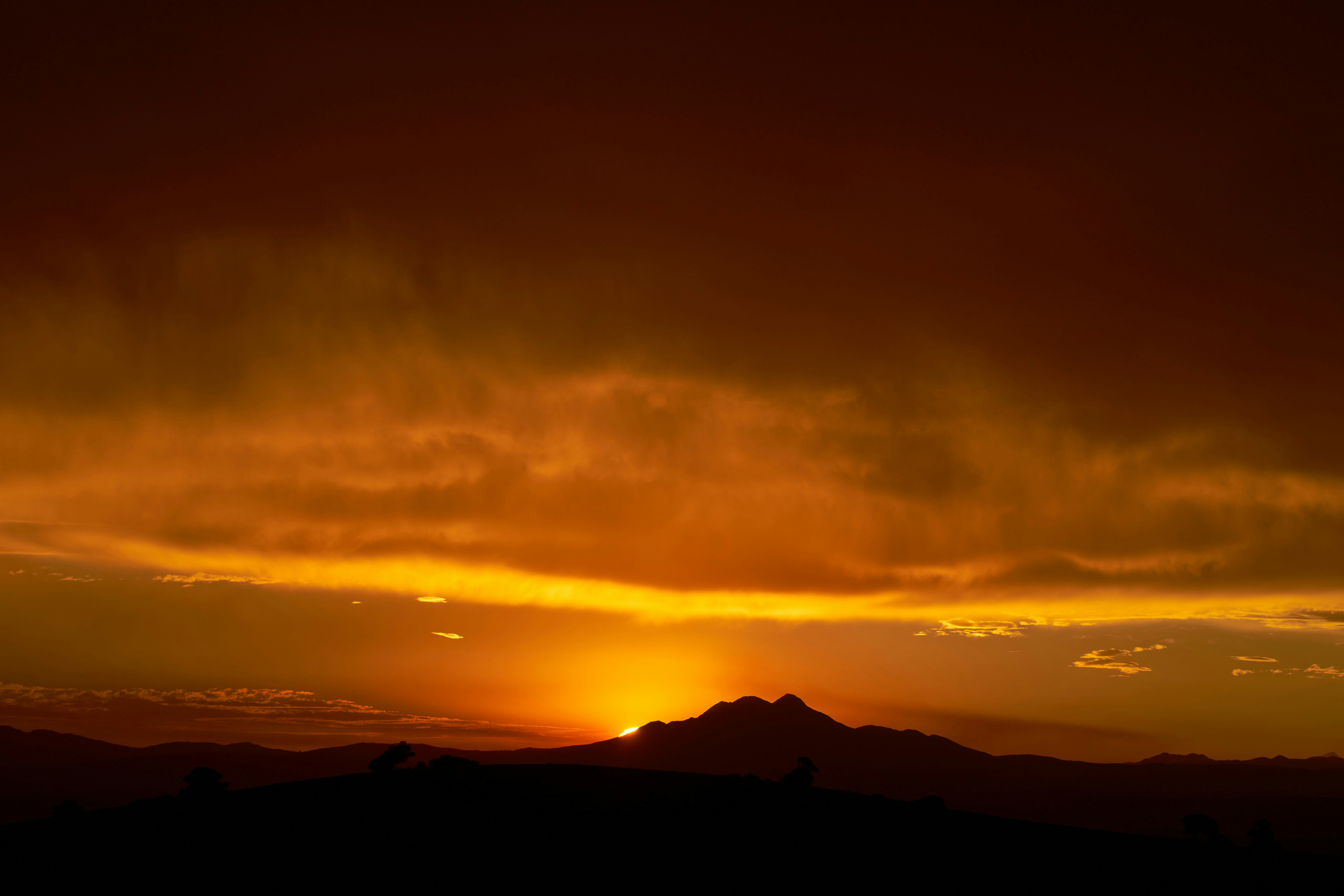 Photo by wolfgang_hasselmann