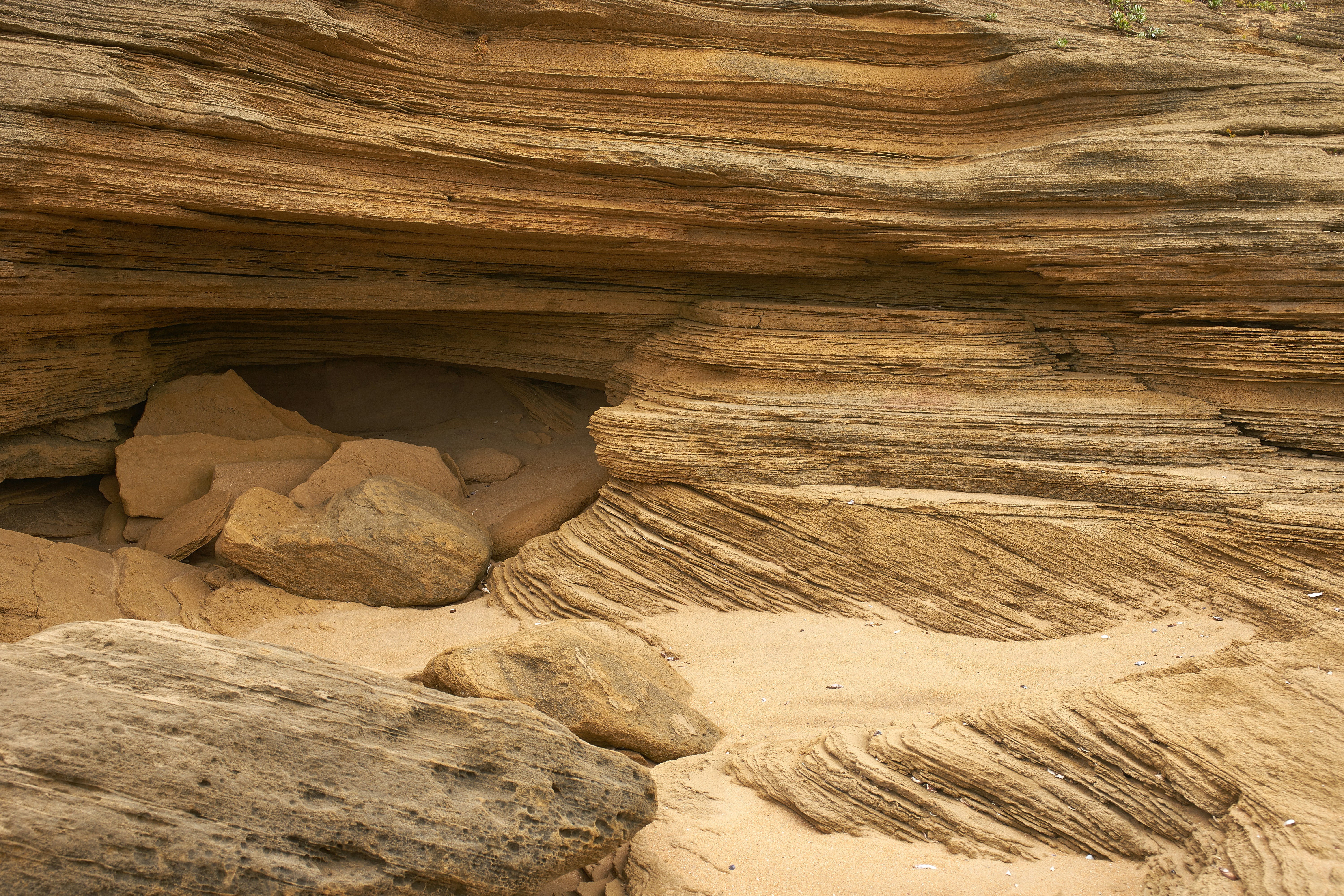 Photo by wolfgang_hasselmann