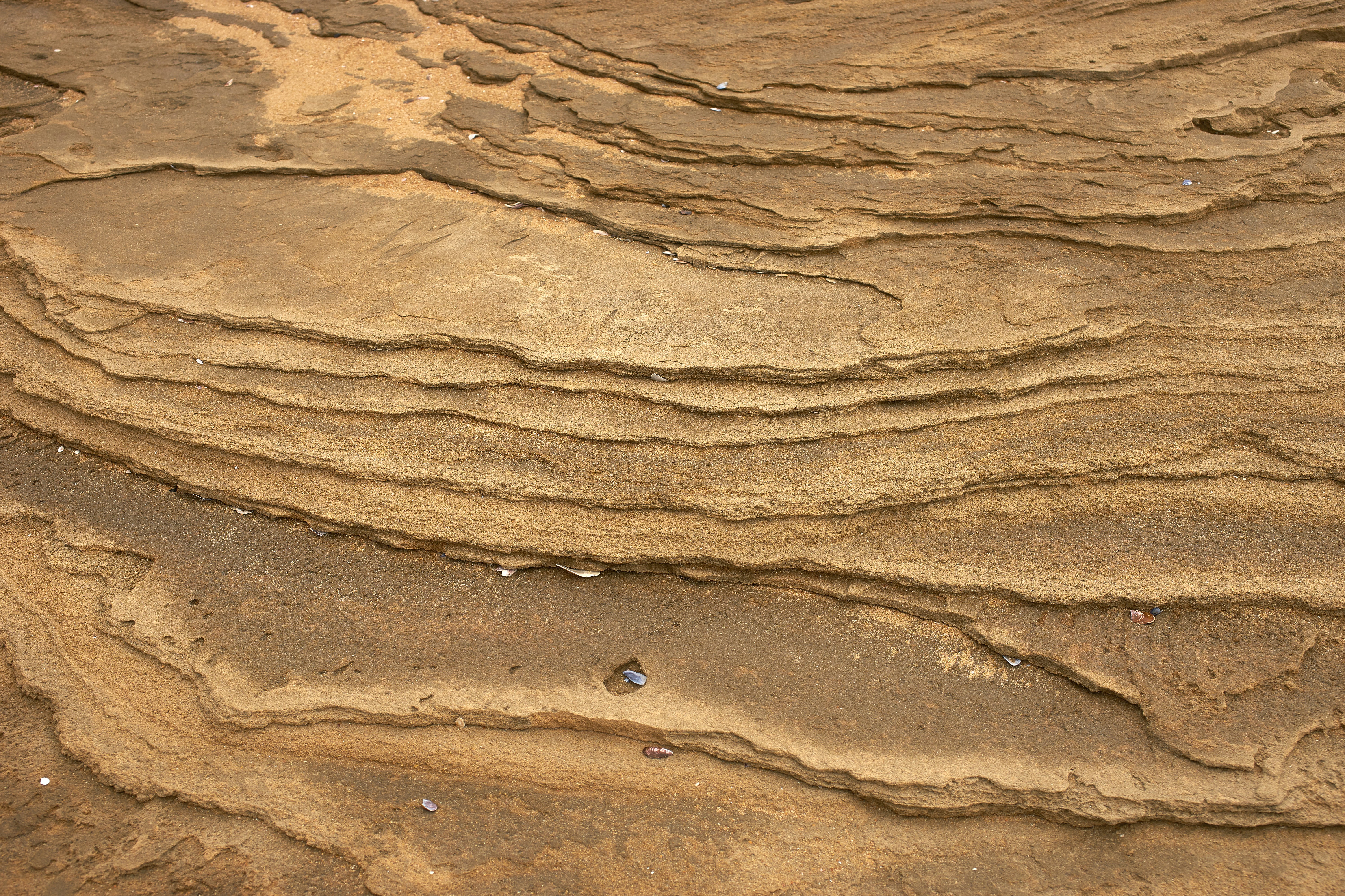 Ancient Clues Locked in Sediment Layers (image credits: unsplash)