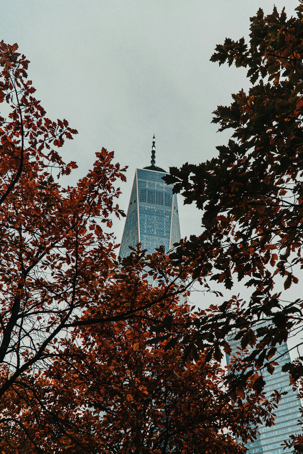 low angle photography of high rise building