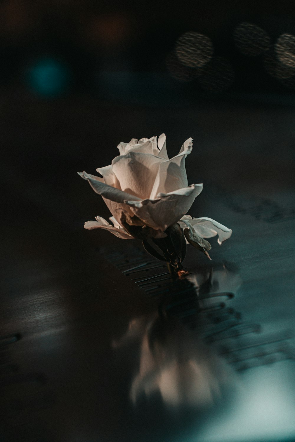 fiore bianco su tavolo di legno nero