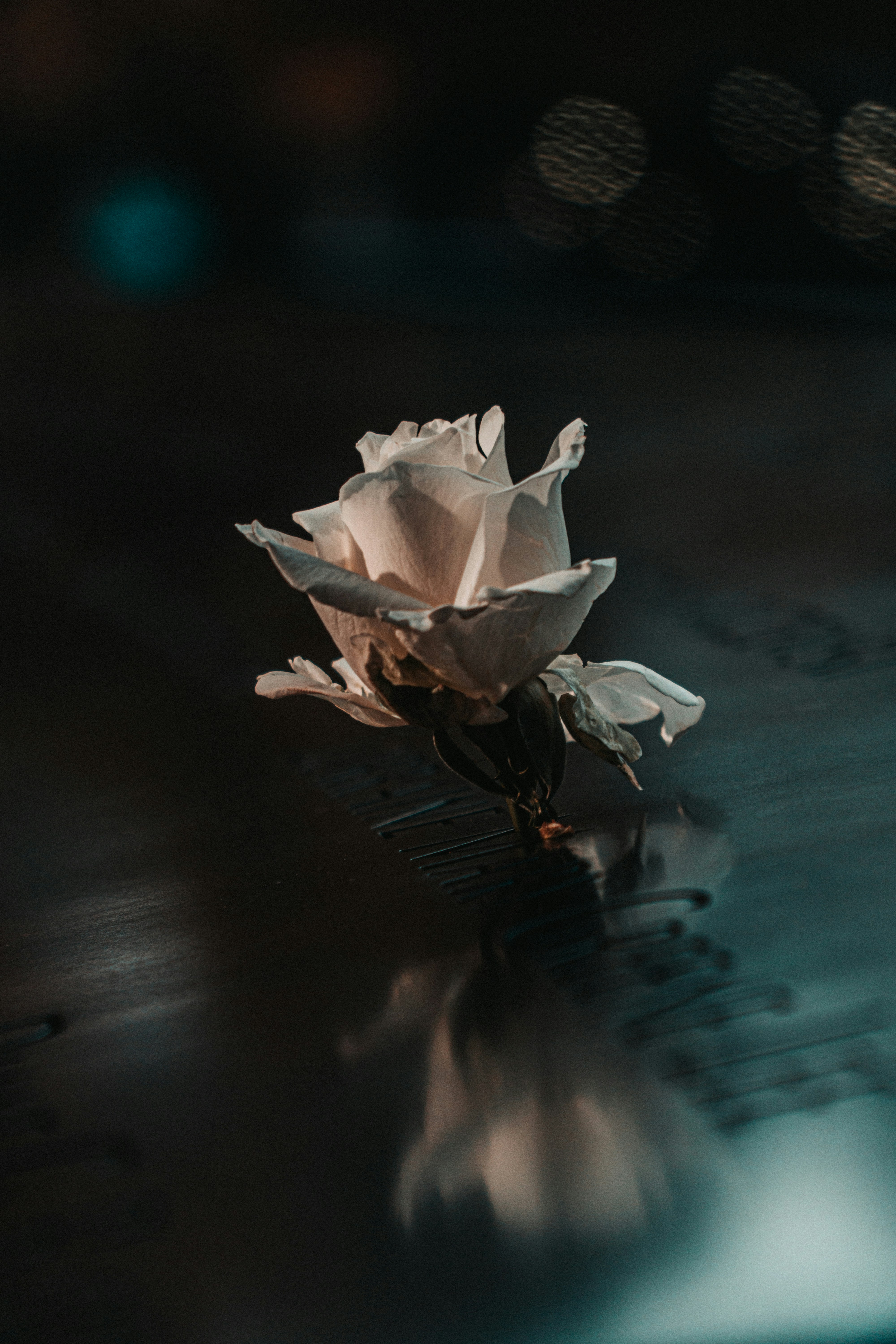white flower on black wooden table