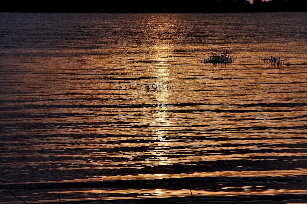 calm sea during golden hour