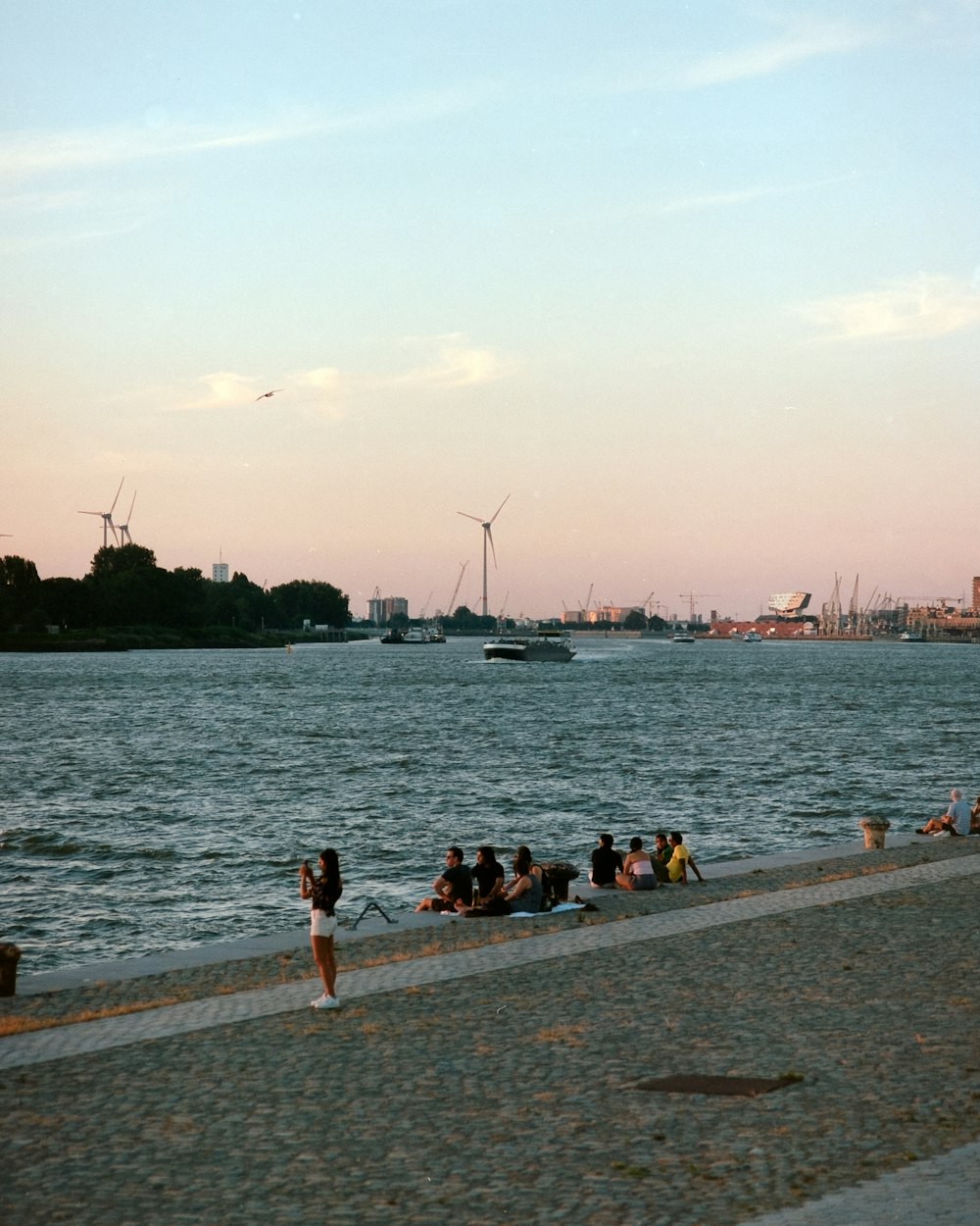 people on beach during daytime