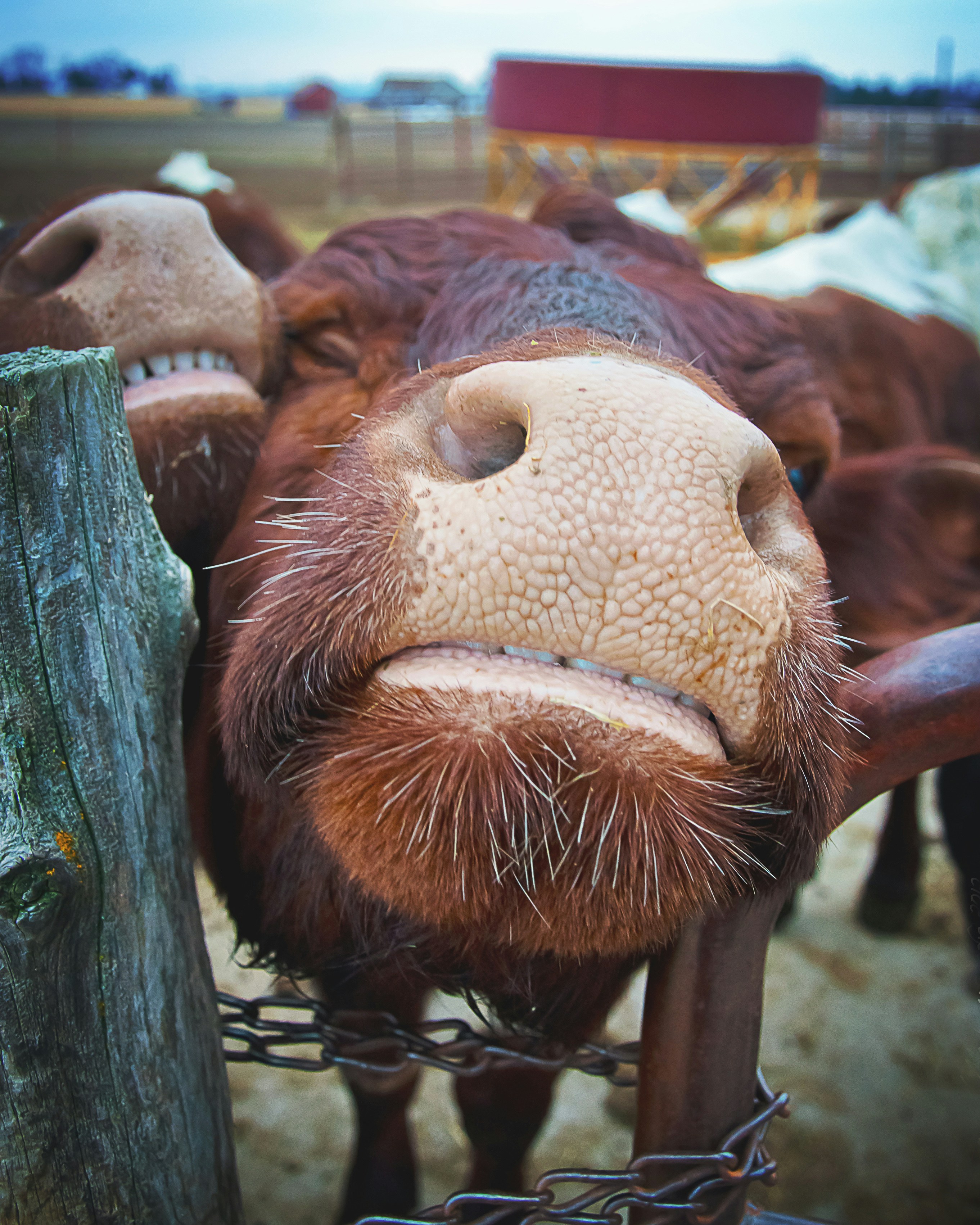 Why Most Startup Pivots Fail and How to Pivot Successfully