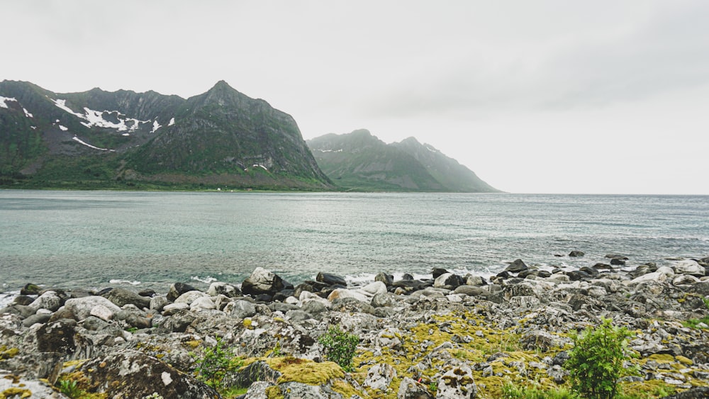 green and black mountain beside body of water during daytime