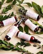 Natural ingredients like aloe and chamomile beside skincare bottles