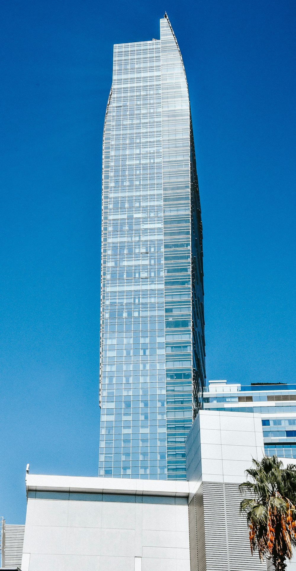 white and blue high rise building under blue sky during daytime