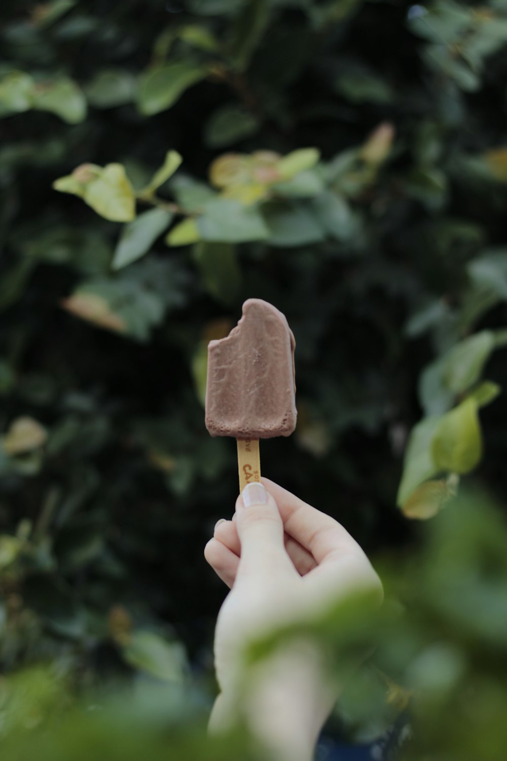 person holding brown ice cream