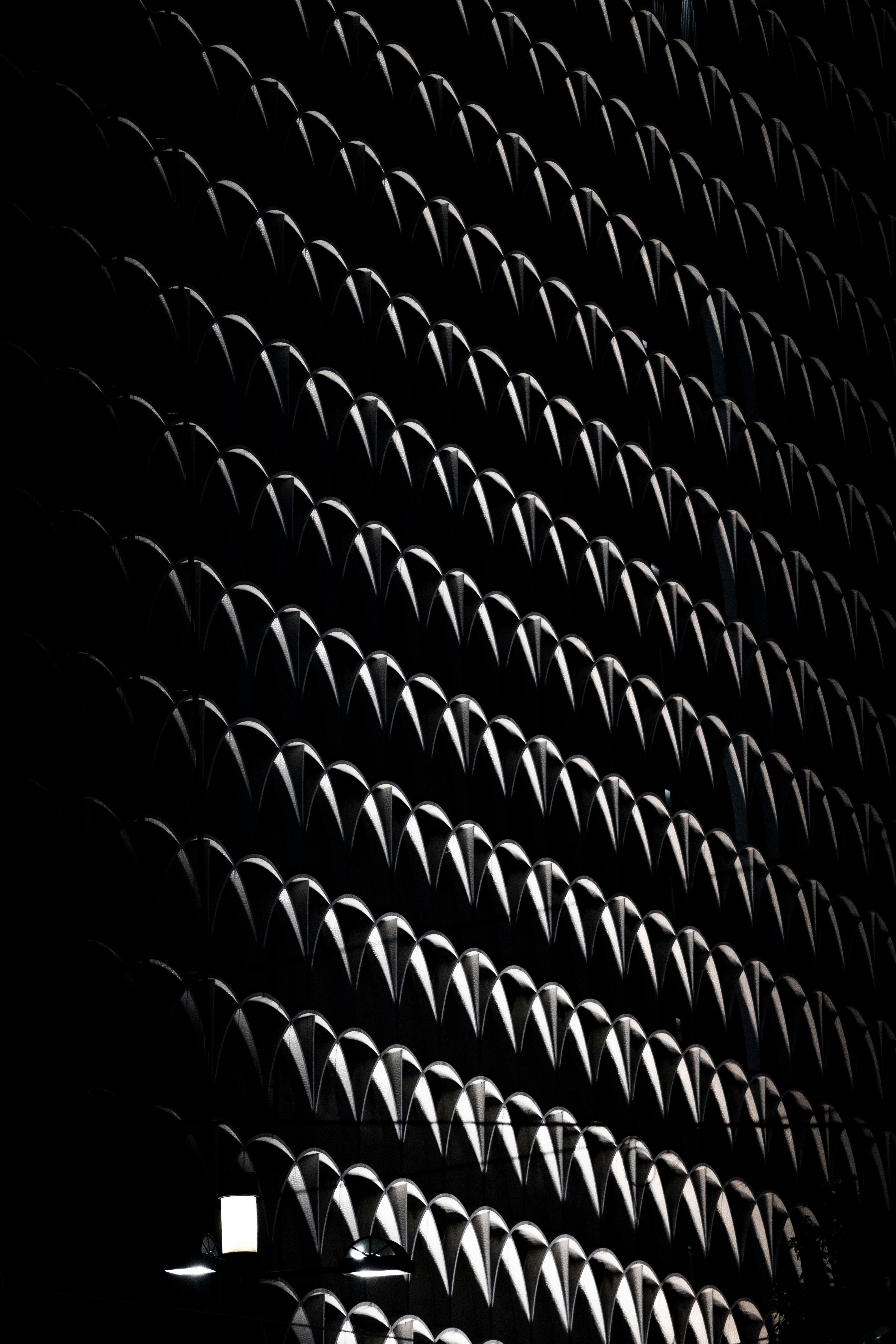 Photo by bubgraphics