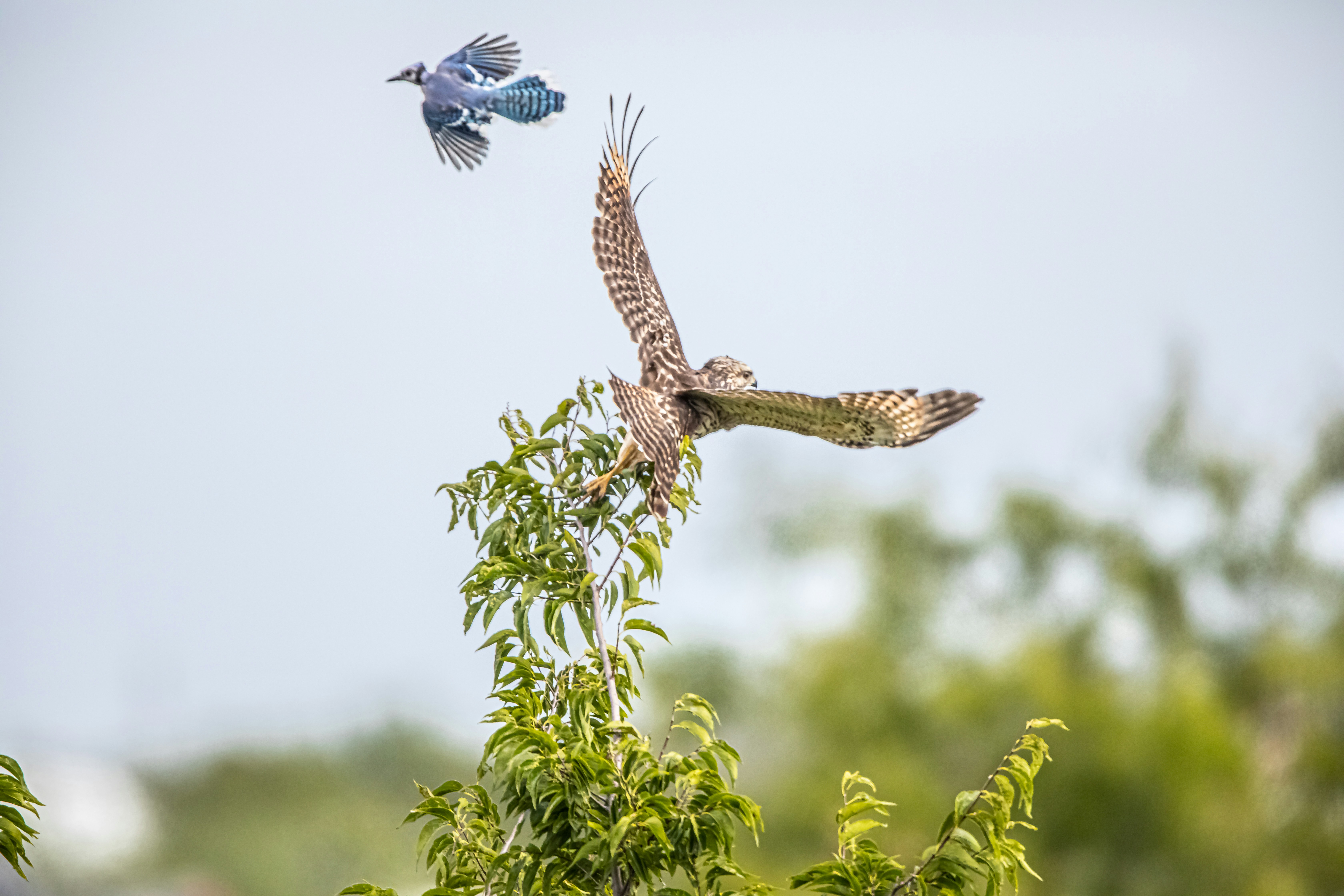 Fort Worth cityscape