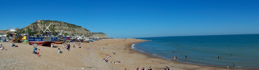 people on beach during daytime