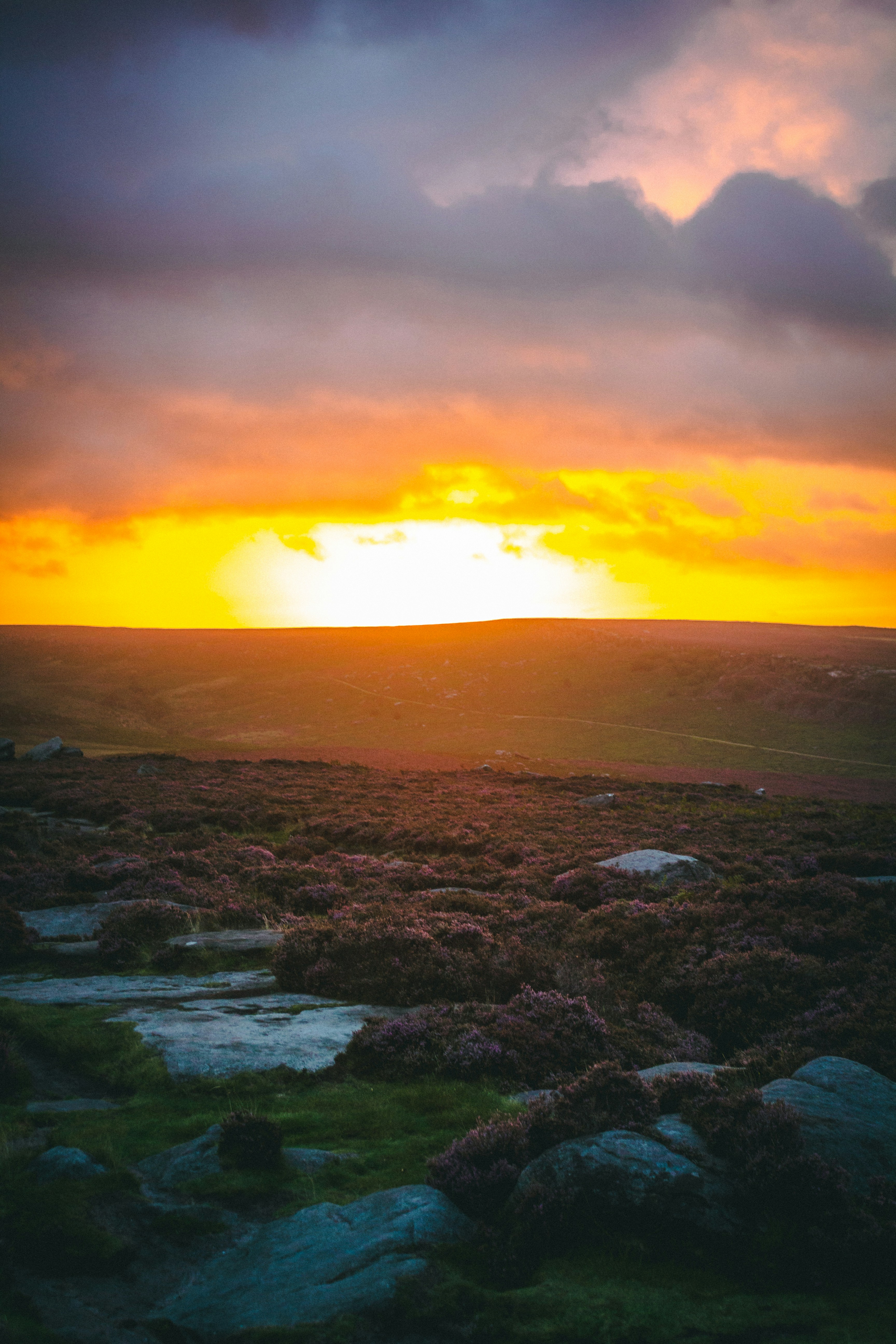 Photo by orangetiephotography