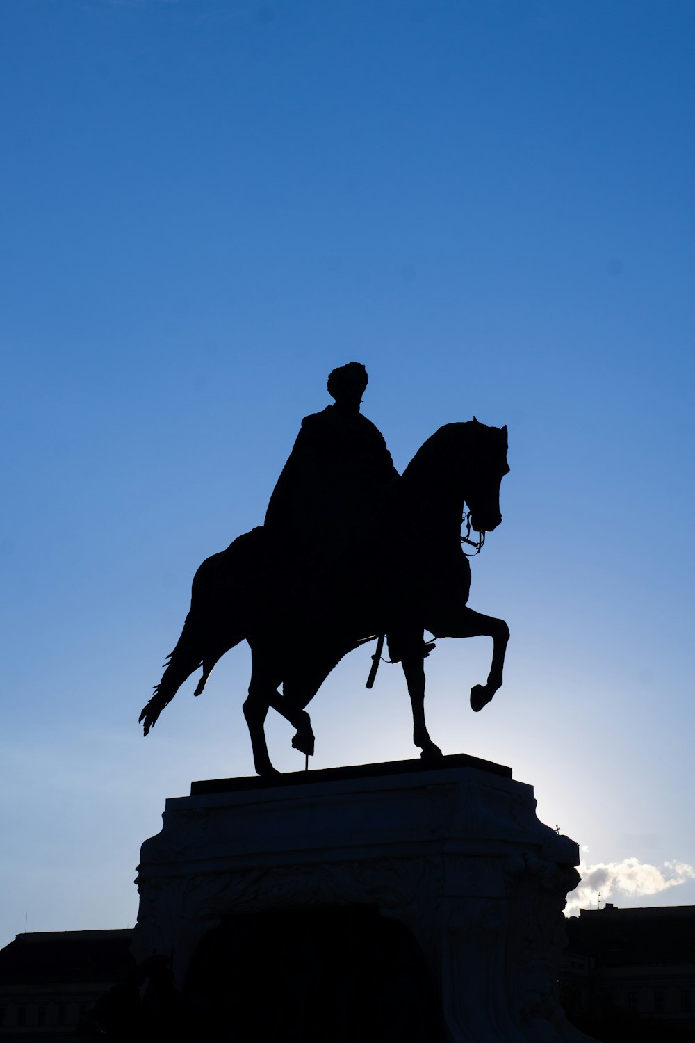 silhouette di uomo che cavalca la statua del cavallo