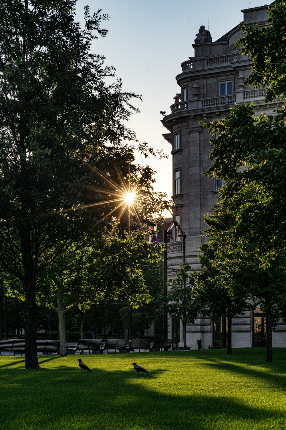 green trees near white concrete building during daytime