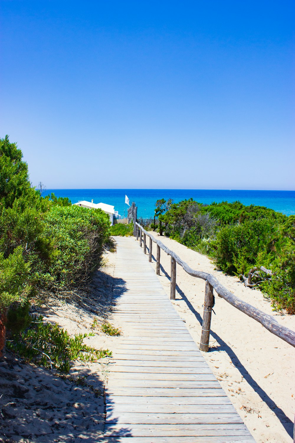 people walking on wooden dock during daytime