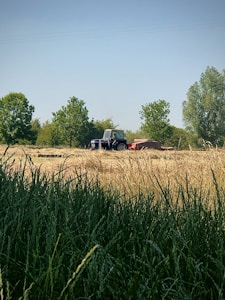 A rural landscape features a tractor in a field surrounded by trees. The foreground has tall, green grass, while the background includes the open field with hay or grain. Several trees are scattered, providing elements of greenery and shade.