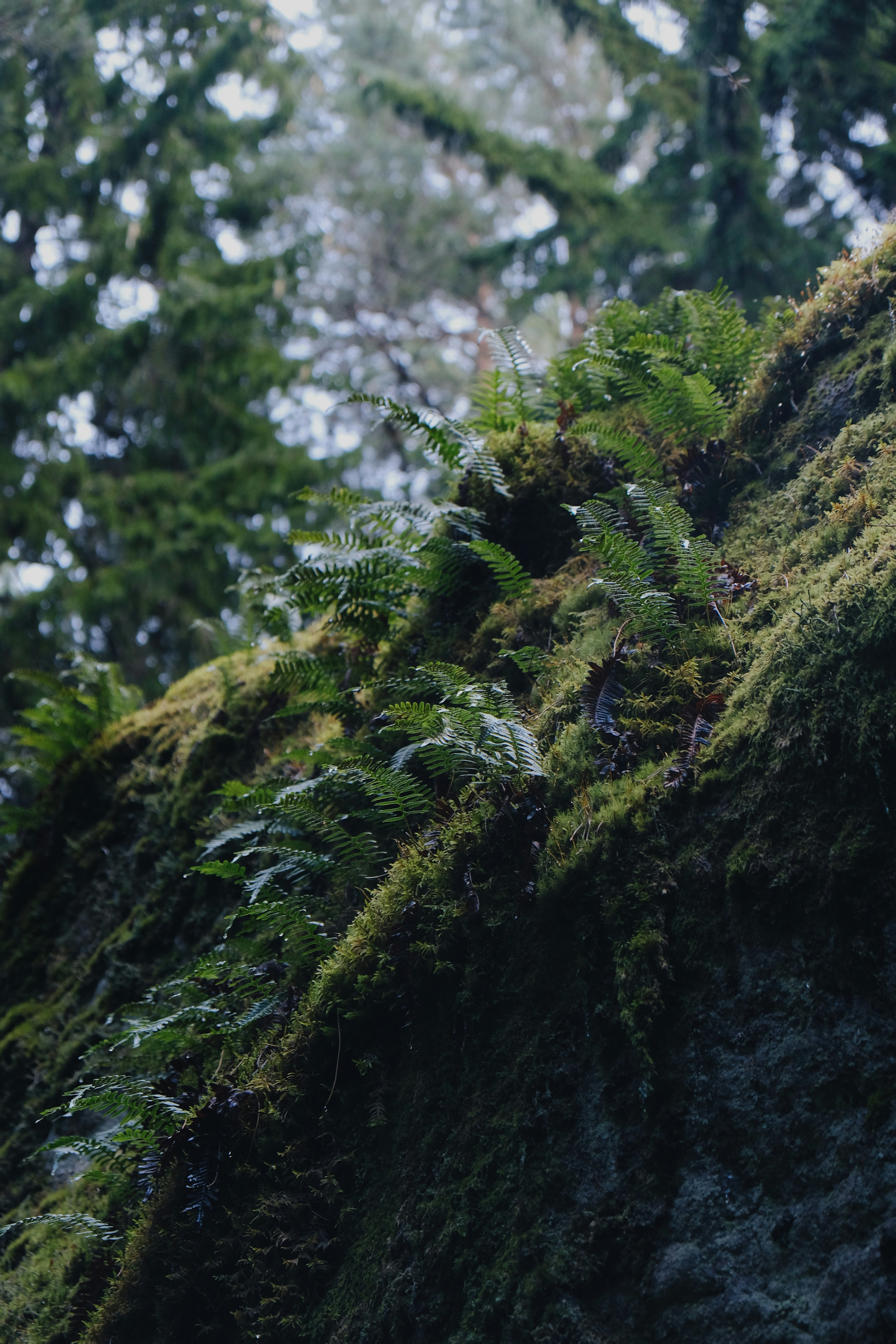 Photo by kadrivmaephotos