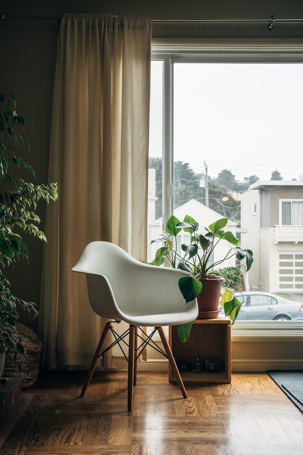 green potted plant on brown wooden seat