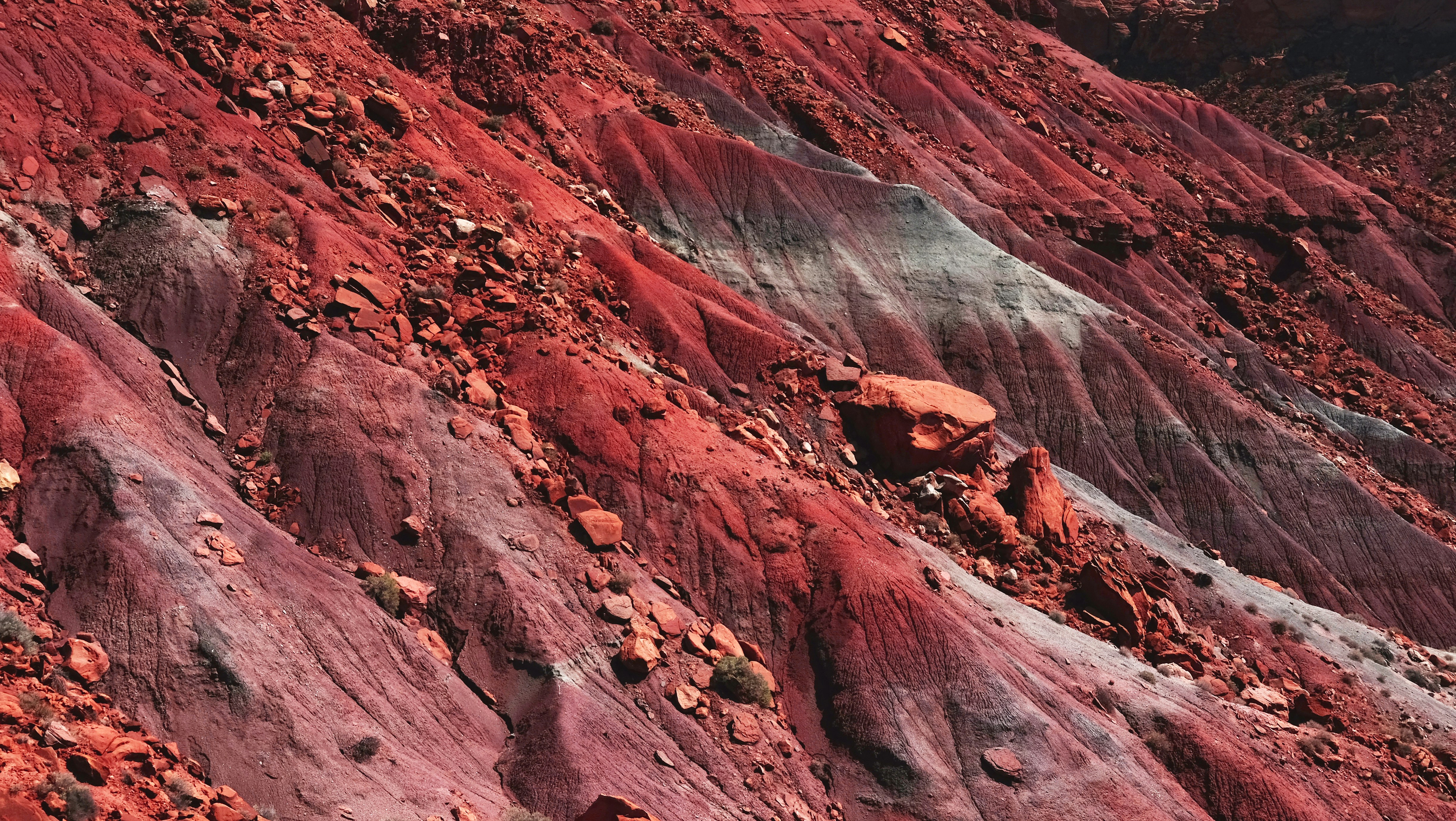 Photo by robertharknessart