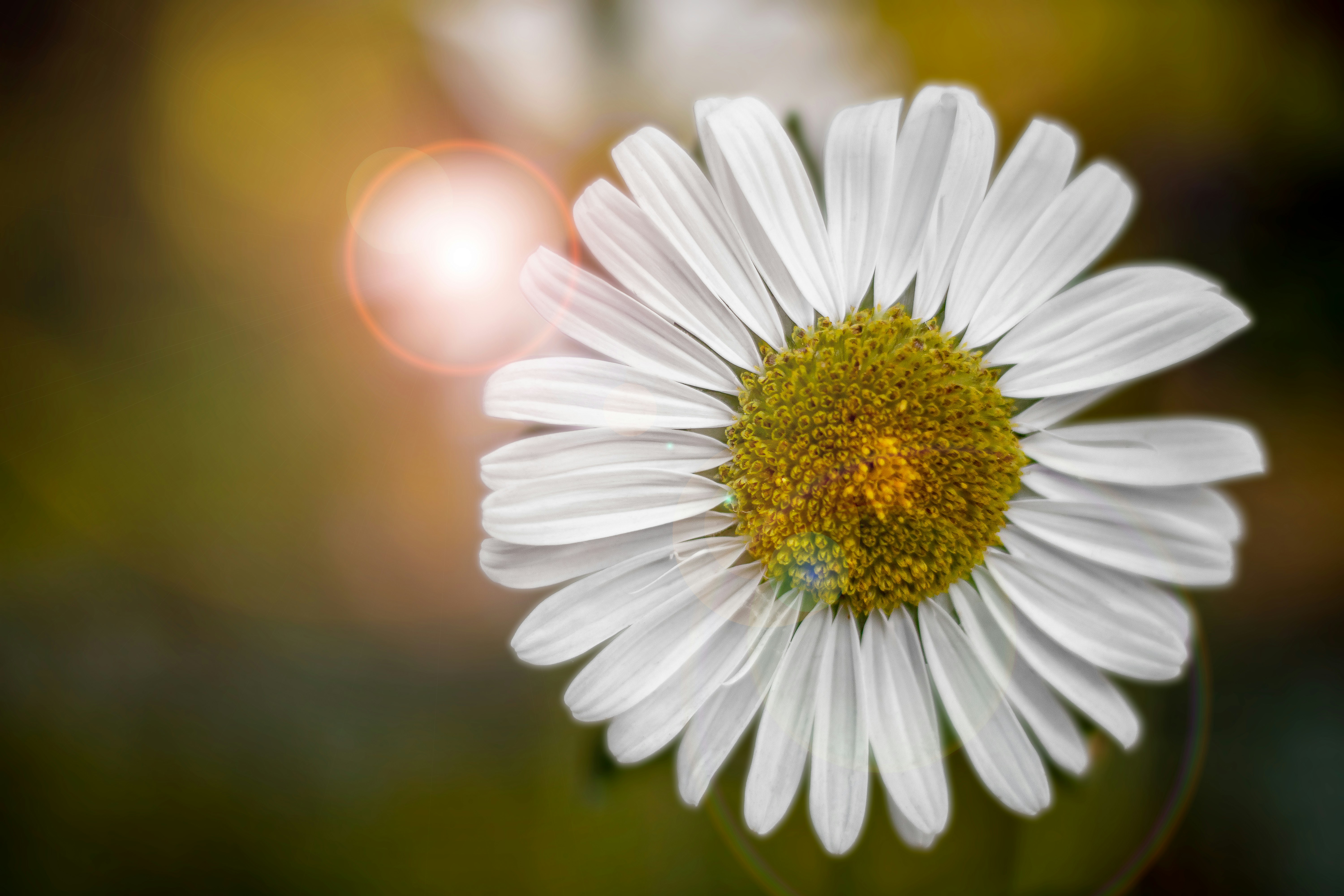 Photo by ovidiugruescu