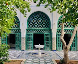 green palm tree near white and blue concrete building