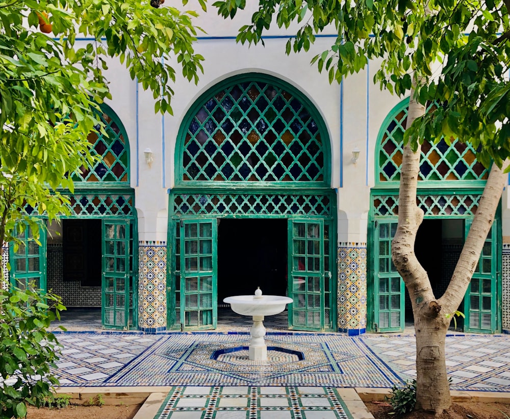 Palma verde vicino all'edificio in cemento bianco e blu